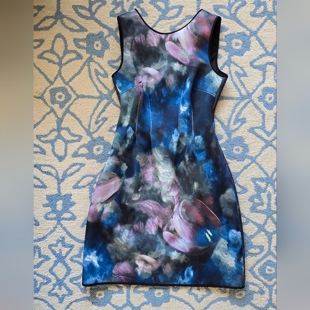 White House Black Market Blue and Pink Floral Mini Dress